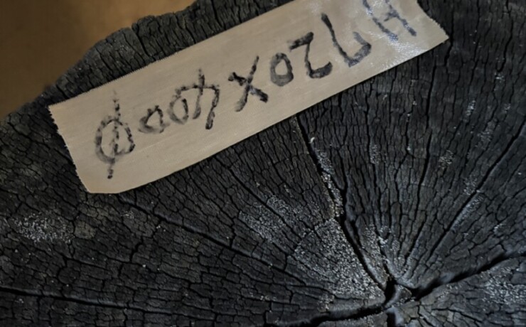 Vintage Teak ヴィンテージ  チーク材 「1000年チーク」　＃004　穴無しチーク切り株