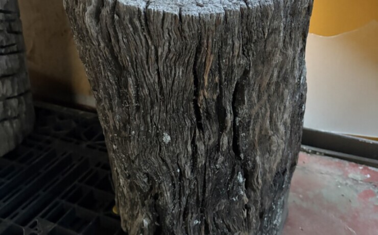 Vintage Teak ヴィンテージ  チーク材 「1000年チーク」　＃005　穴無しチーク切り株