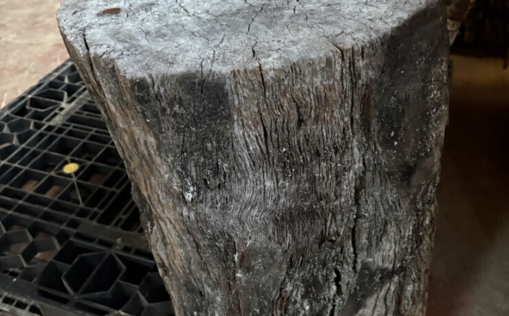 Vintage Teak ヴィンテージ  チーク材 「1000年チーク」　＃005　穴無しチーク切り株