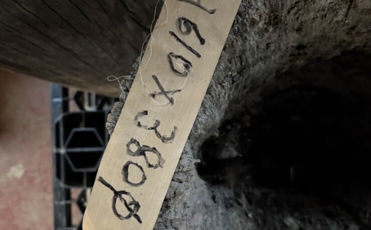 Vintage Teak ヴィンテージ  チーク材 「1000年チーク」　＃008　穴空きコブありチーク切り株