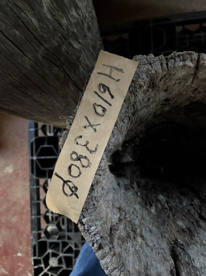 Vintage Teak ヴィンテージ  チーク材 「1000年チーク」　＃008　穴空きコブありチーク切り株