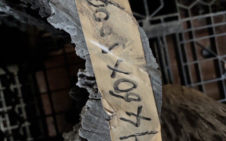 Vintage Teak ヴィンテージ  チーク材 「1000年チーク」　＃007　穴空きコブありチーク切り株