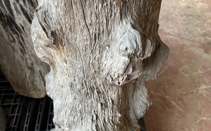 Vintage Teak ヴィンテージ  チーク材 「1000年チーク」　＃006　穴空きコブありチーク切り株