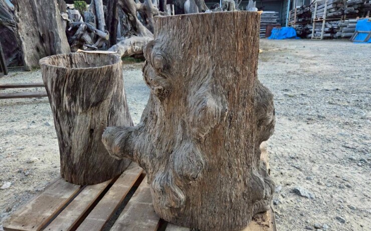 Vintage Teak ヴィンテージ  チーク材 「1000年チーク」　＃006　穴空きコブありチーク切り株