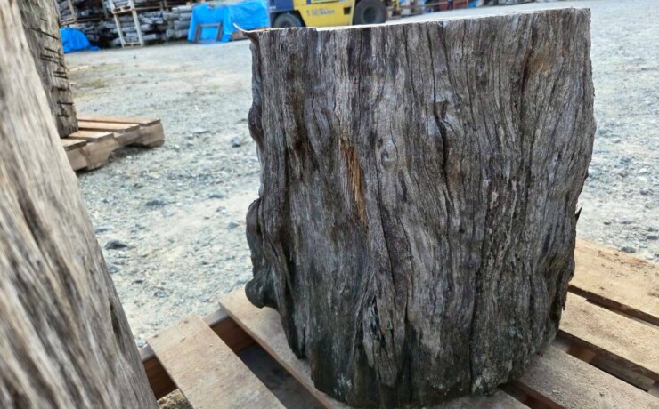 Vintage Teak ヴィンテージ  チーク材 「1000年チーク」　＃007　穴空きコブありチーク切り株