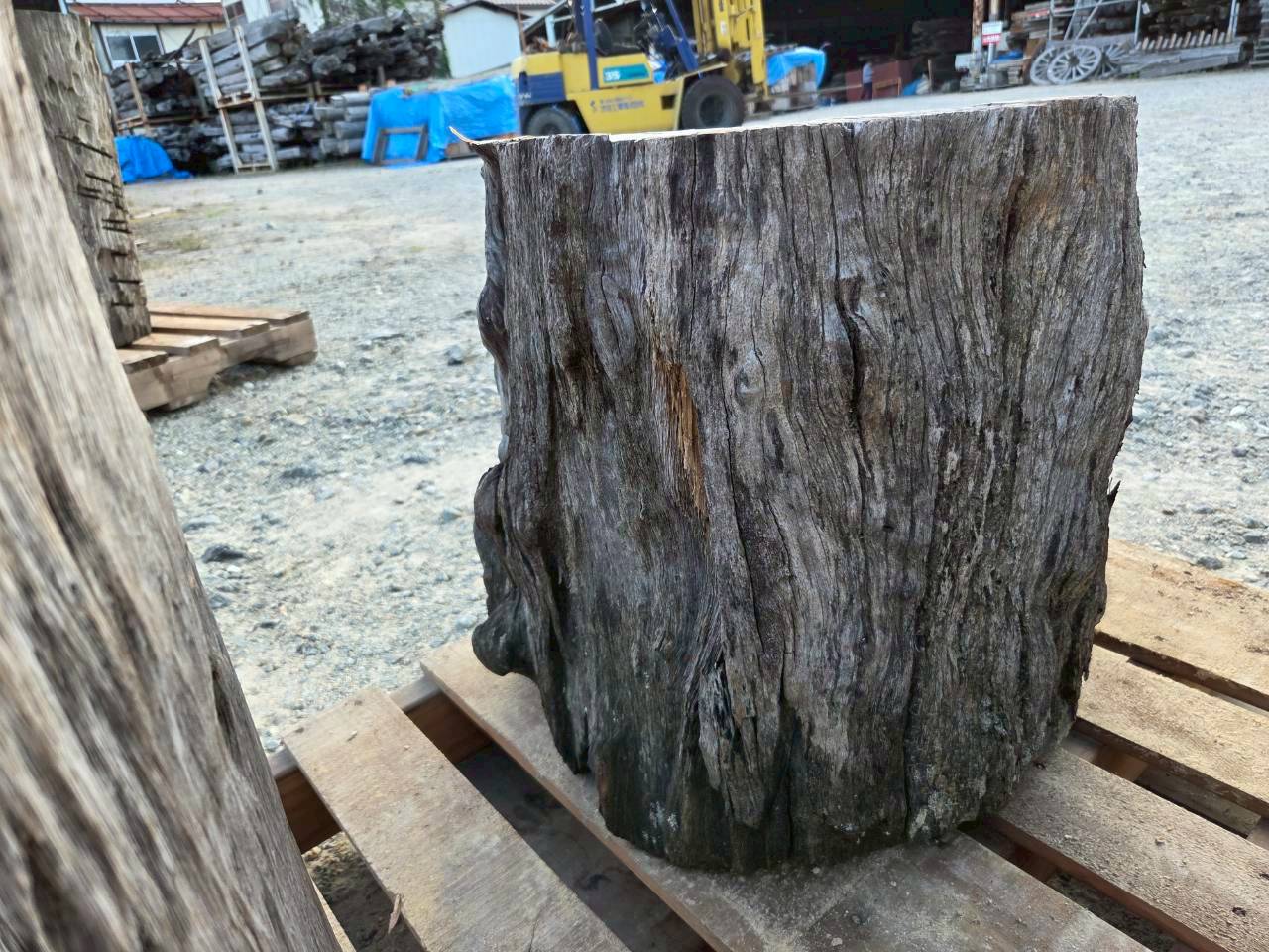 Vintage Teak ヴィンテージ  チーク材 「1000年チーク」　＃007　穴空きコブありチーク切り株