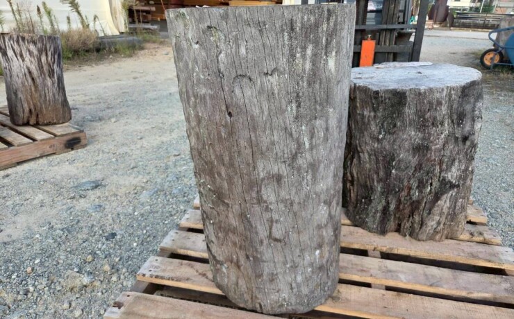 Vintage Teak ヴィンテージ  チーク材 「1000年チーク」　＃004　穴無しチーク切り株