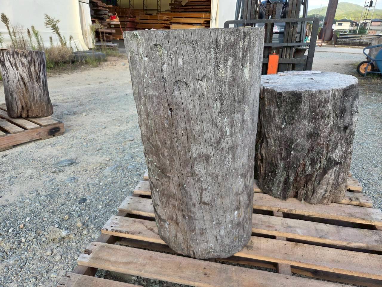 Vintage Teak ヴィンテージ  チーク材 「1000年チーク」　＃004　穴無しチーク切り株