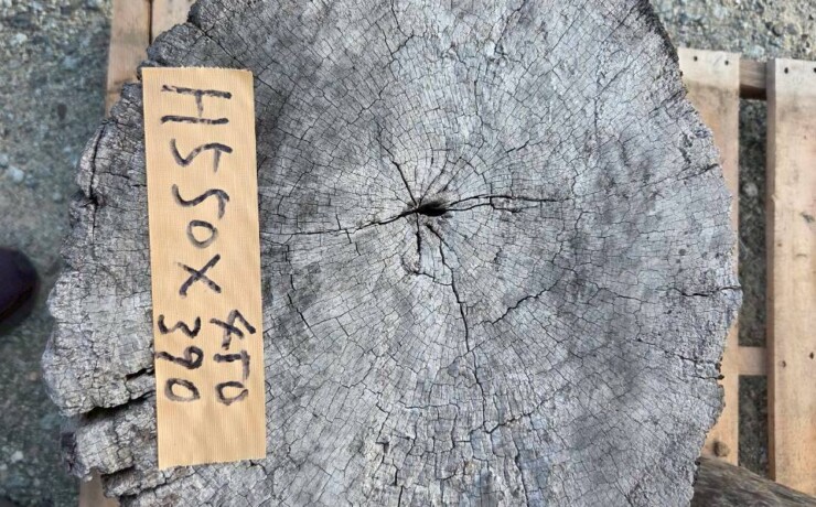 Vintage Teak ヴィンテージ  チーク材 「1000年チーク」　＃005　穴無しチーク切り株