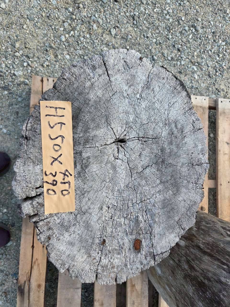 Vintage Teak ヴィンテージ  チーク材 「1000年チーク」　＃005　穴無しチーク切り株