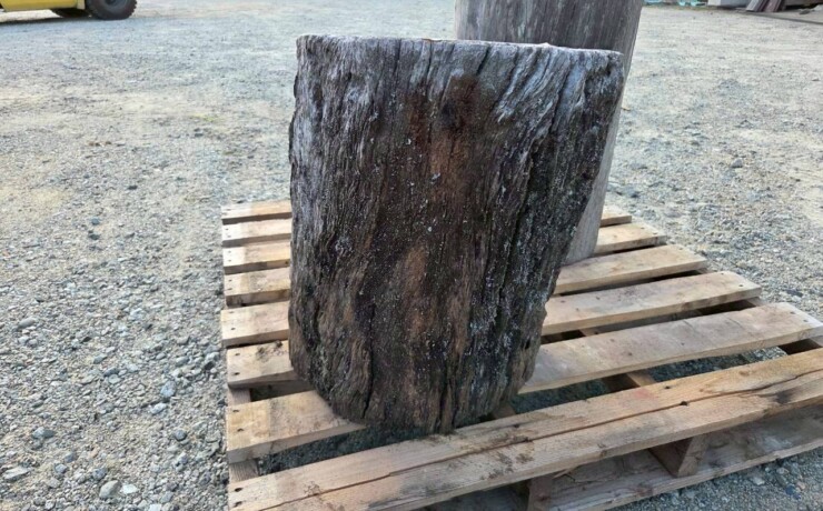 Vintage Teak ヴィンテージ  チーク材 「1000年チーク」　＃005　穴無しチーク切り株