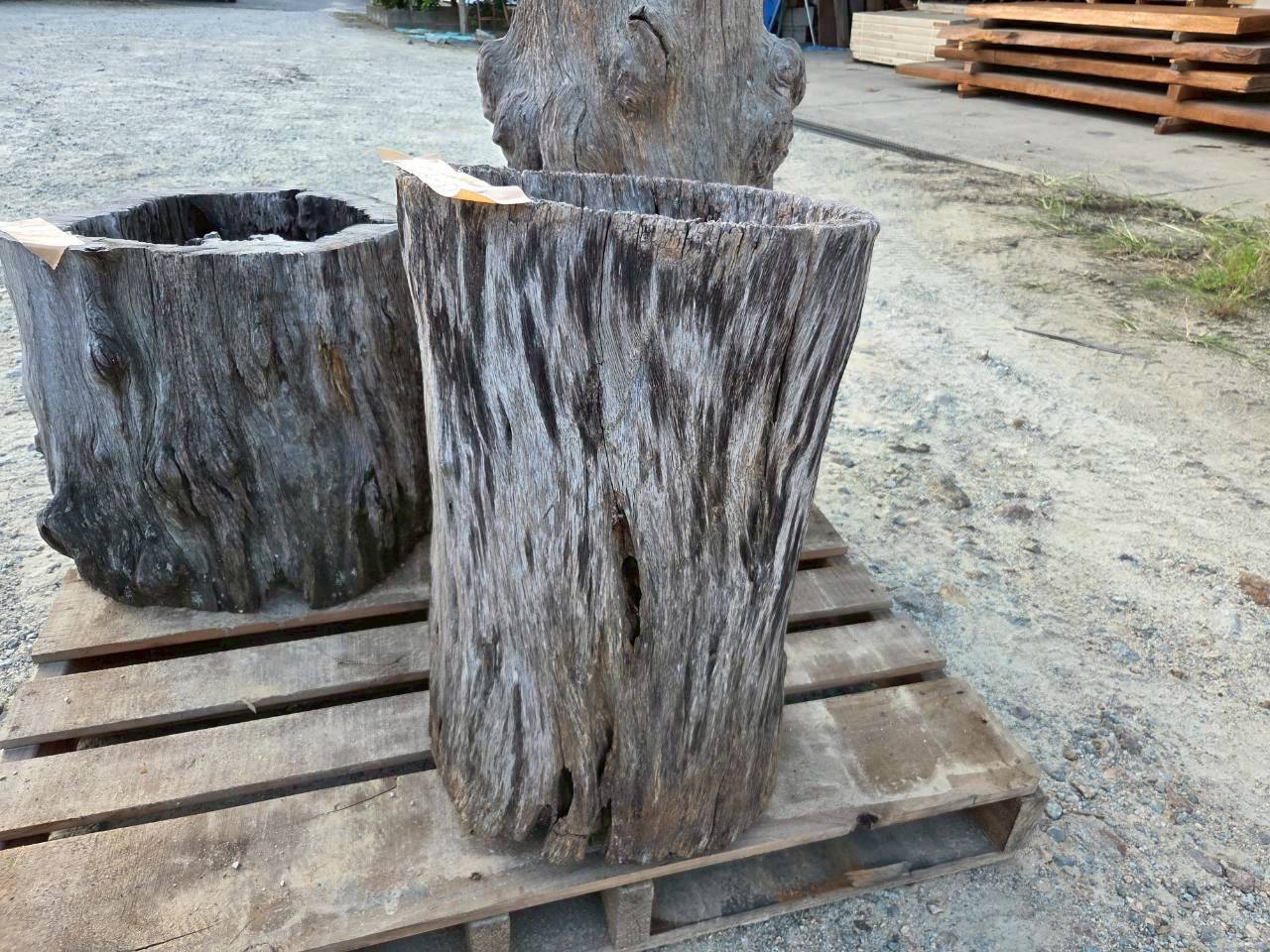 Vintage Teak ヴィンテージ  チーク材 「1000年チーク」　＃008　穴空きコブありチーク切り株