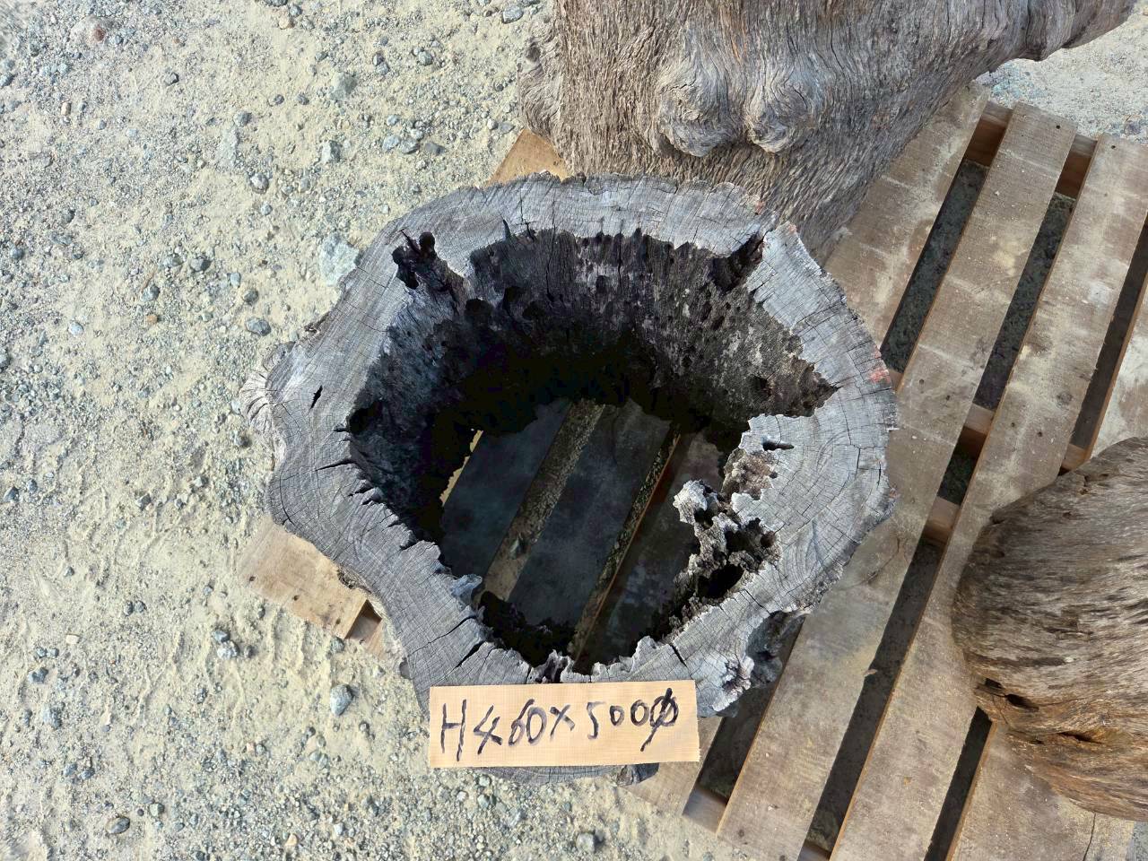 Vintage Teak ヴィンテージ  チーク材 「1000年チーク」　＃007　穴空きコブありチーク切り株