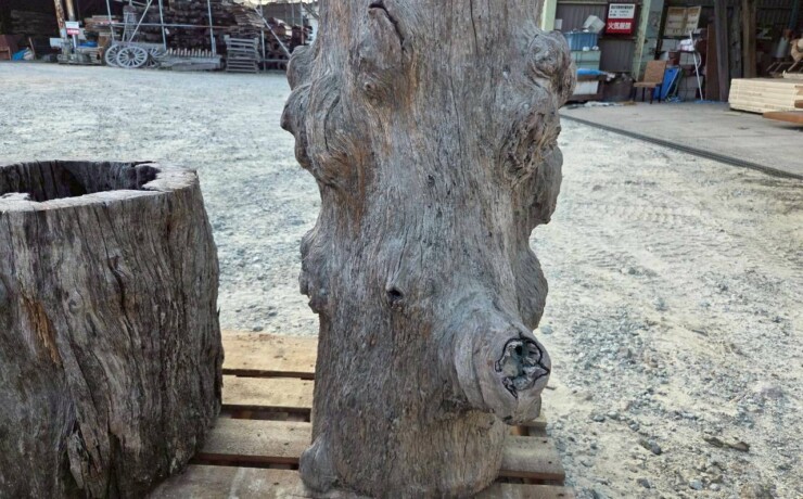 Vintage Teak ヴィンテージ  チーク材 「1000年チーク」　＃006　穴空きコブありチーク切り株