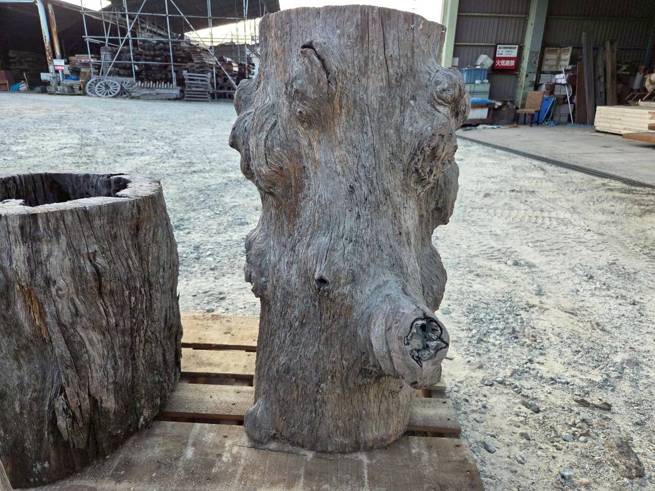 Vintage Teak ヴィンテージ  チーク材 「1000年チーク」　＃006　穴空きコブありチーク切り株