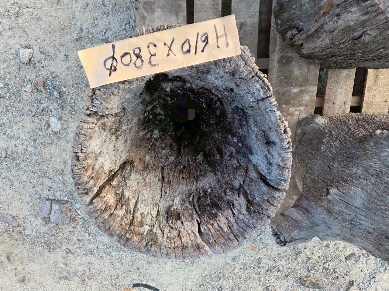 Vintage Teak ヴィンテージ  チーク材 「1000年チーク」　＃008　穴空きコブありチーク切り株