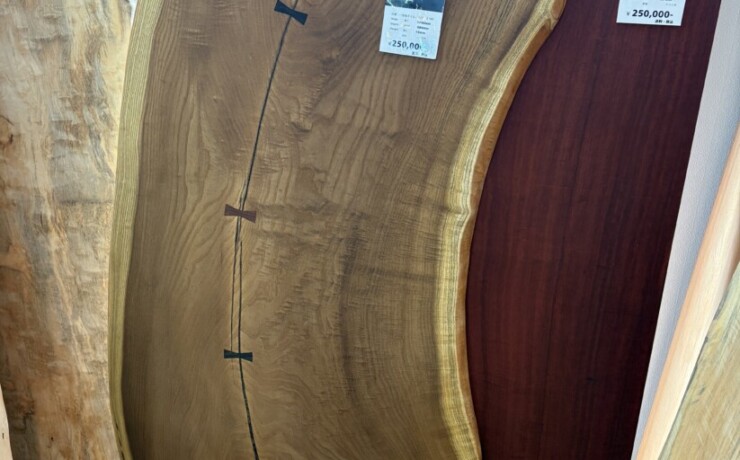 ＃1581 rewood プレミアム キハダ