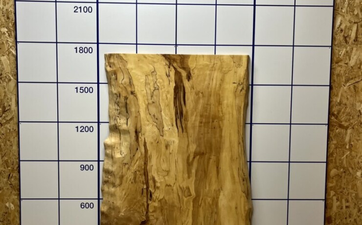 ＃1335　栃　トチ