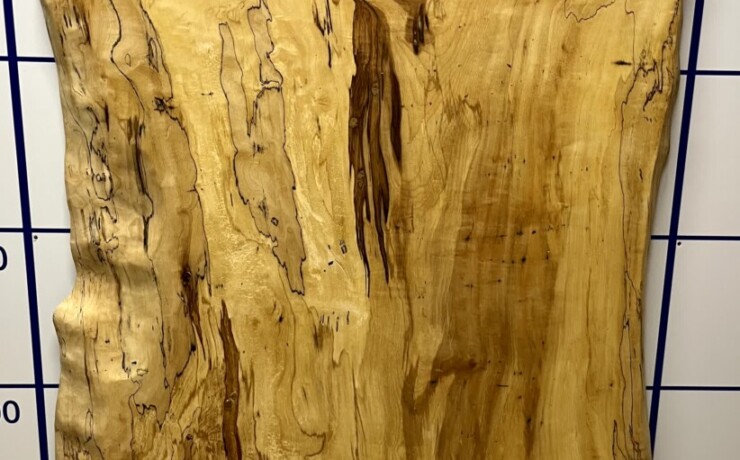 ＃1335　栃　トチ