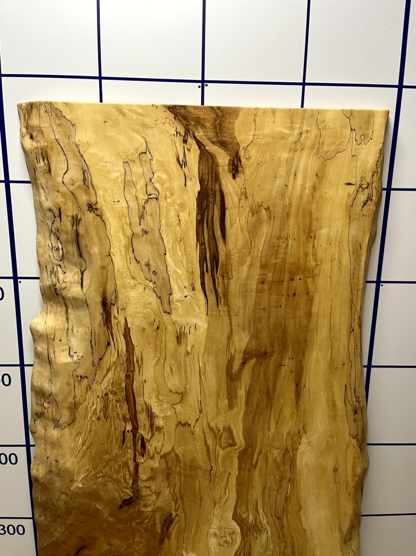 ＃1335　栃　トチ