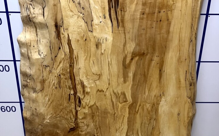 ＃1335　栃　トチ