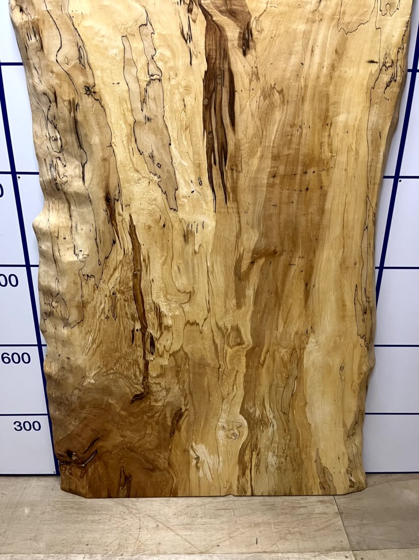 ＃1335　栃　トチ