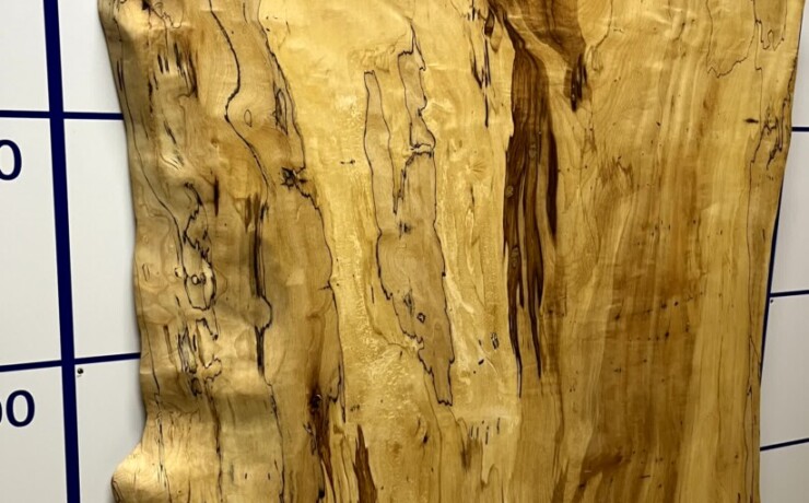 ＃1335　栃　トチ