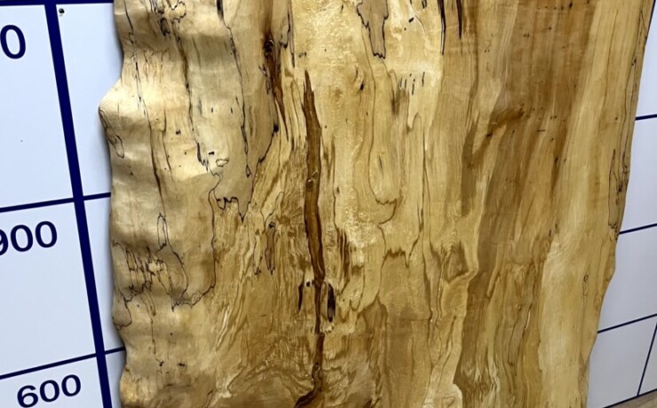 ＃1335　栃　トチ