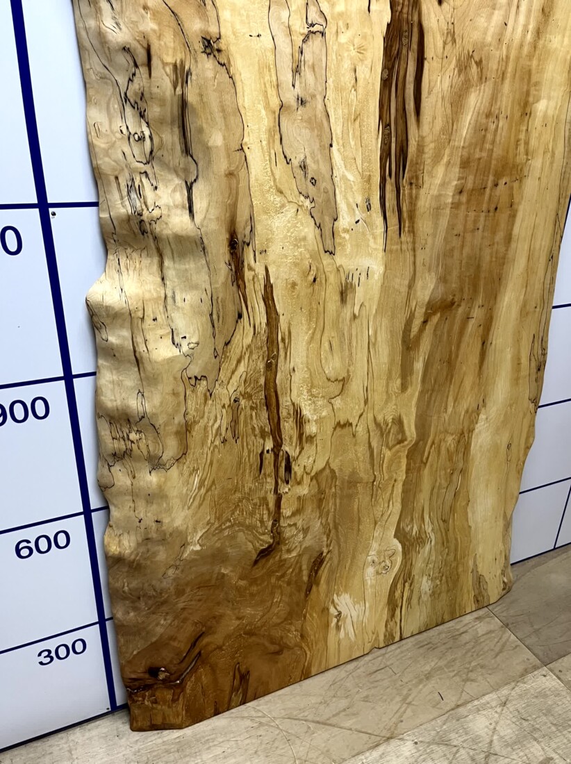 ＃1335　栃　トチ