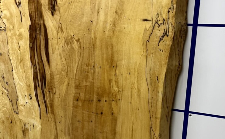 ＃1335　栃　トチ