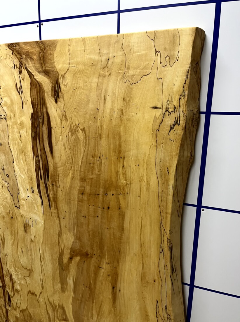 ＃1335　栃　トチ