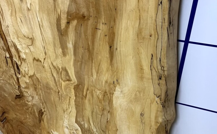 ＃1335　栃　トチ