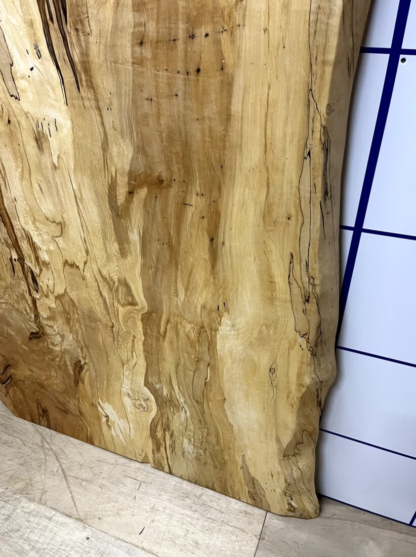 ＃1335　栃　トチ