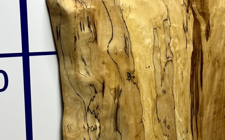 ＃1335　栃　トチ