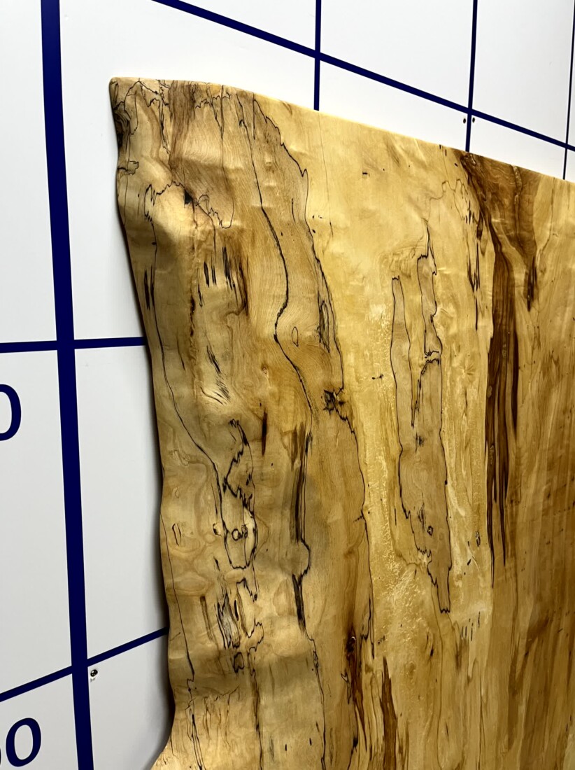 ＃1335　栃　トチ