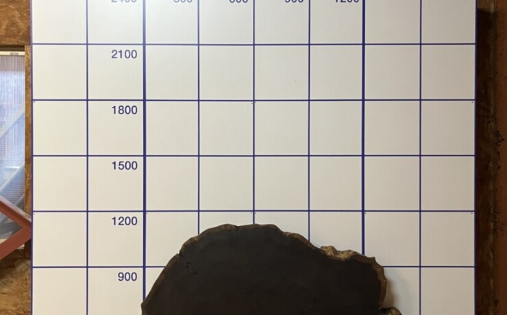 ＃1061　タガヤサン　輪切