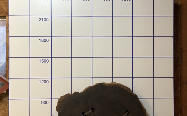 ＃1061　タガヤサン　輪切