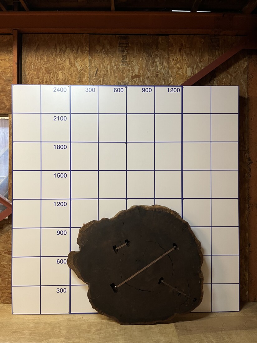 ＃1061　タガヤサン　輪切