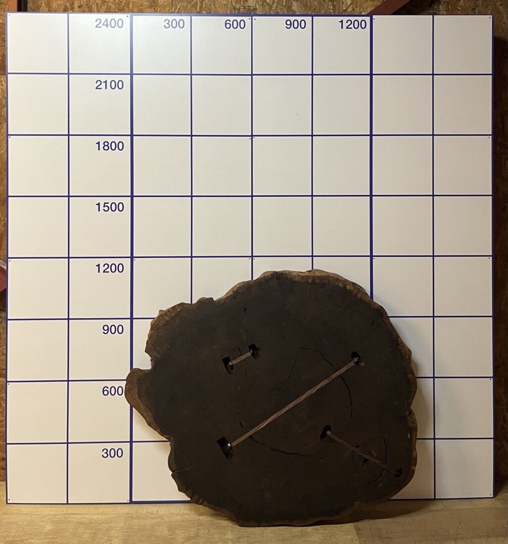 ＃1061　タガヤサン　輪切