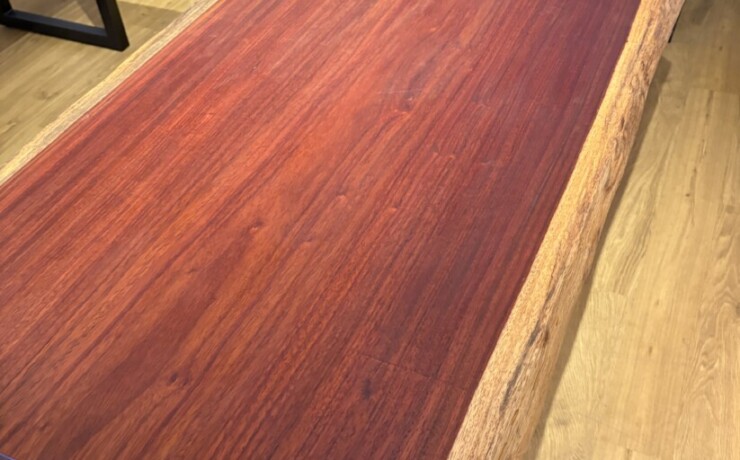 ＃1370 rewood プレミアム パドック