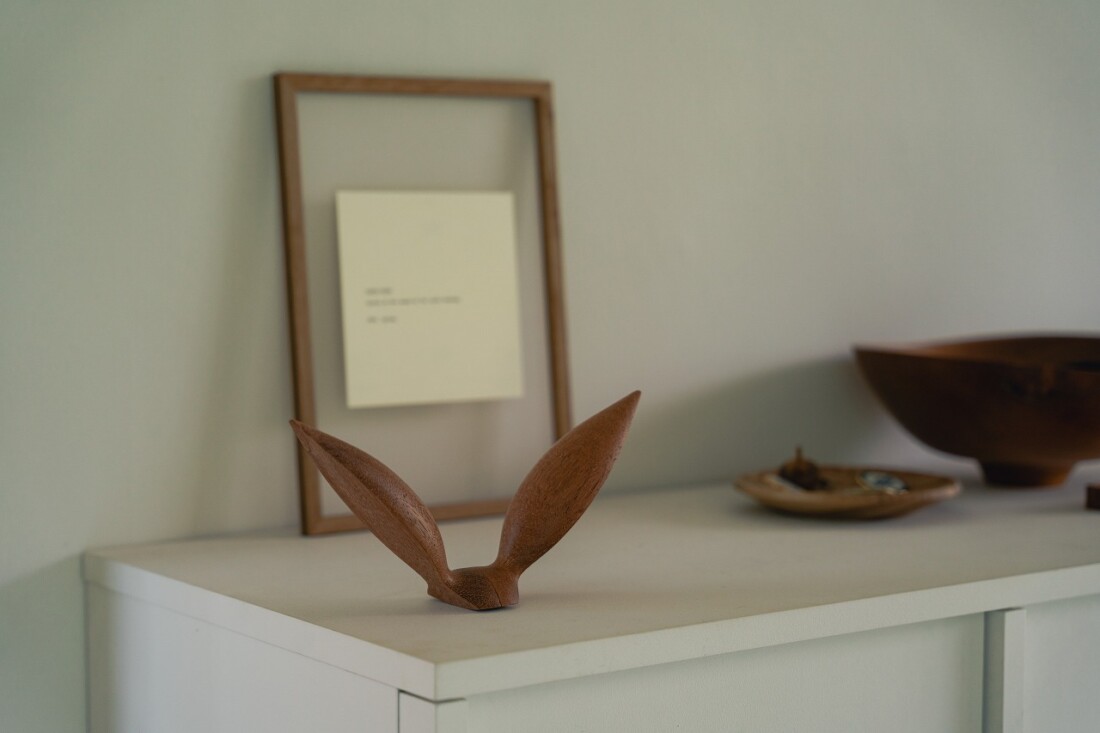 rewood Living_bird Seagull鴎(カモメ)