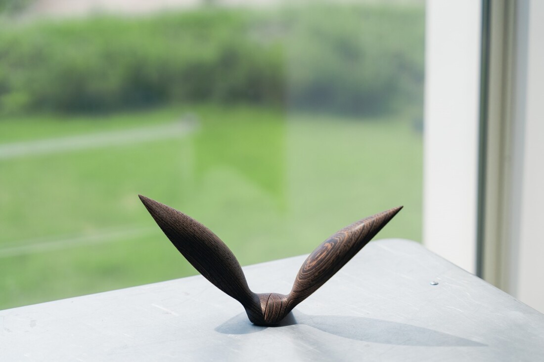 rewood Living_bird Seagull鴎(カモメ)