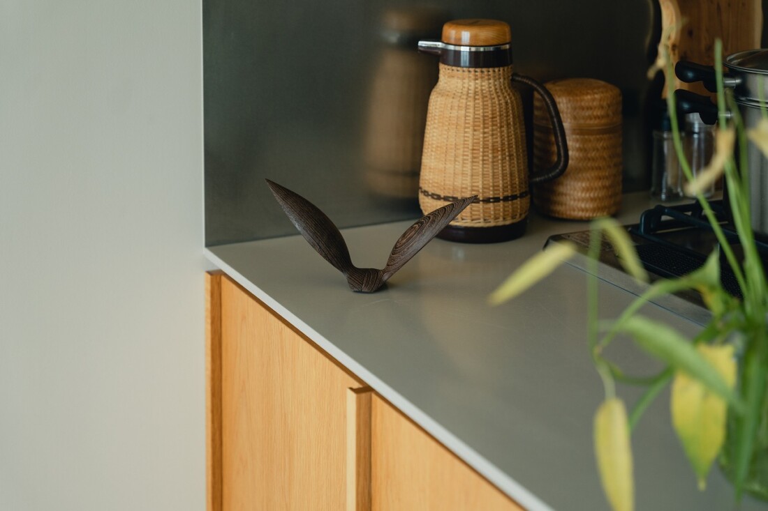 rewood Living_bird Seagull鴎(カモメ)
