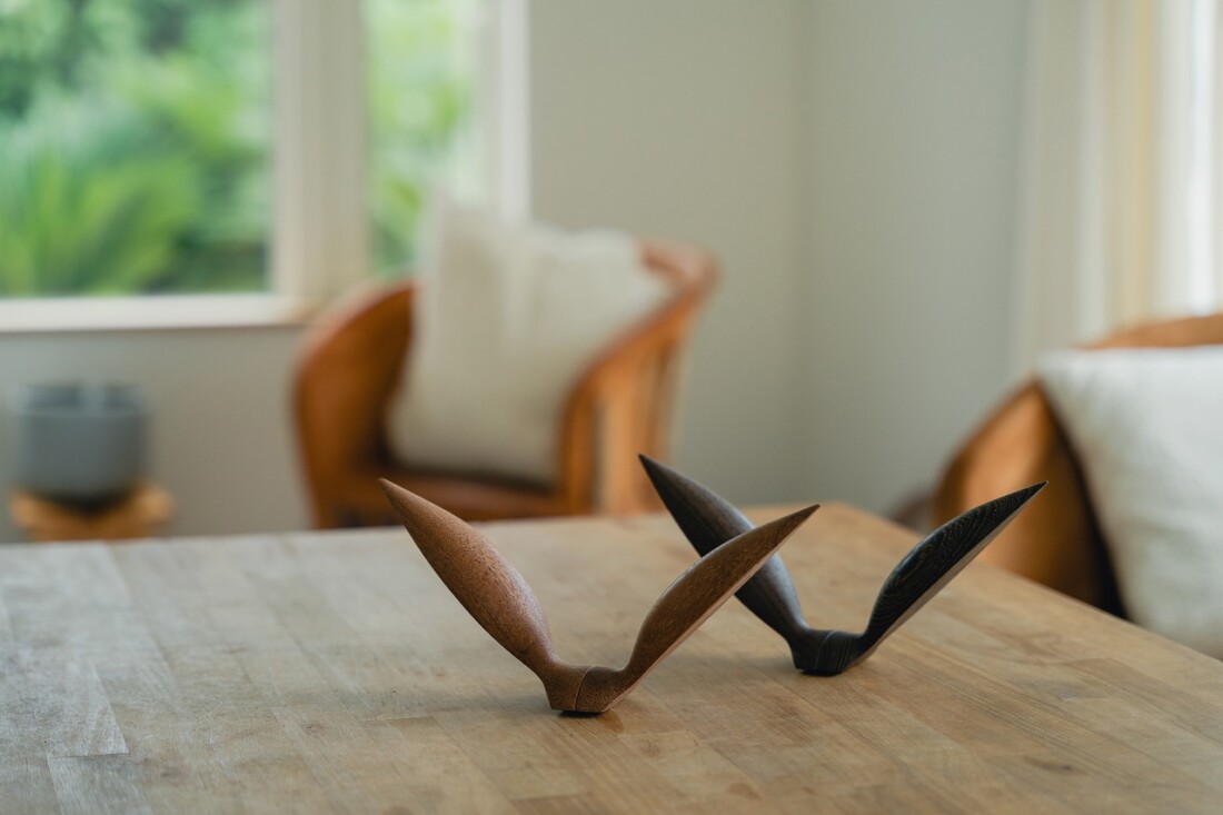 rewood Living_bird Seagull鴎(カモメ)