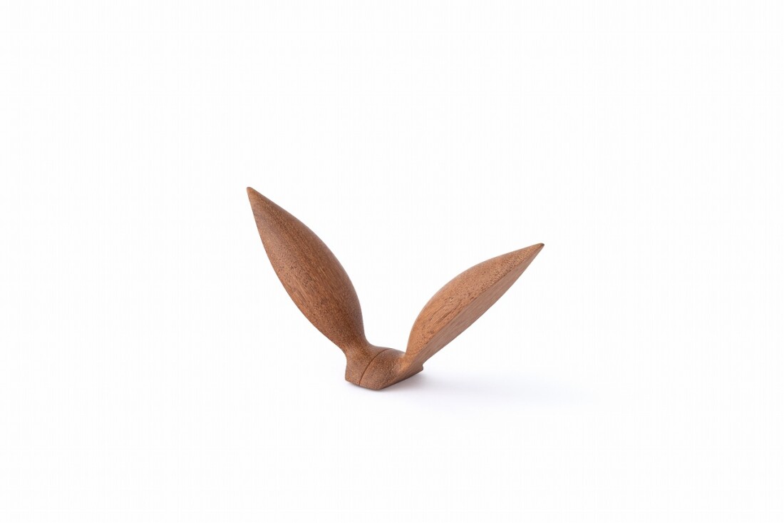 rewood Living_bird Seagull鴎(カモメ)