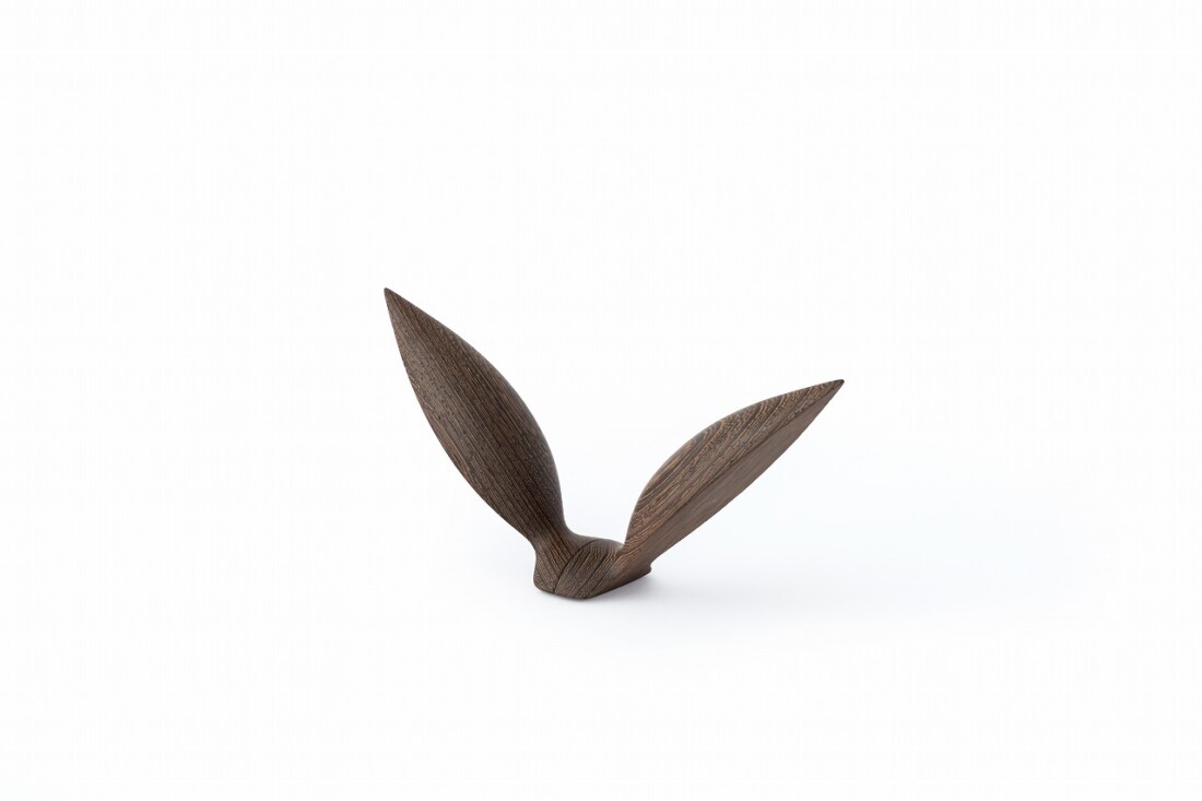 rewood Living_bird Seagull鴎(カモメ)