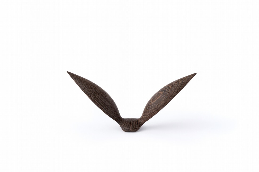 rewood Living_bird Seagull鴎(カモメ)