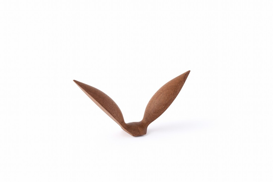 rewood Living_bird Seagull鴎(カモメ)