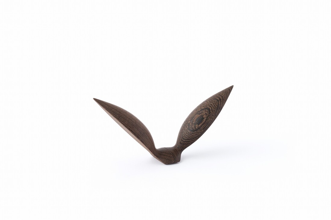 rewood Living_bird Seagull鴎(カモメ)