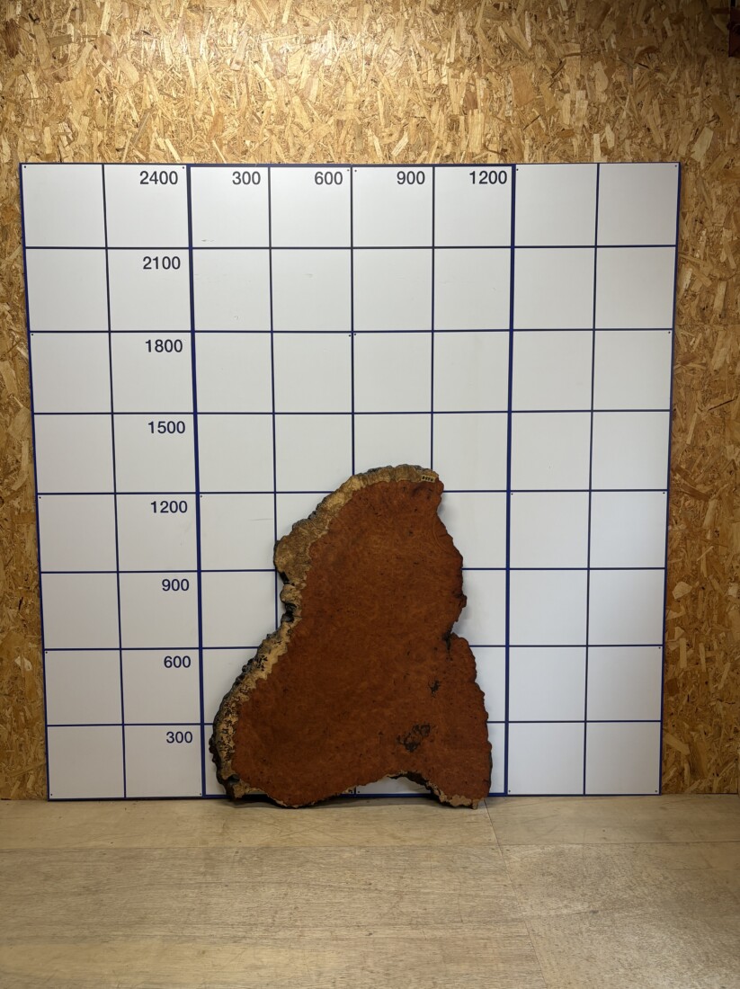 仕上がり品 ＃494 / 花梨コブ材 / 1300*900*30 広島